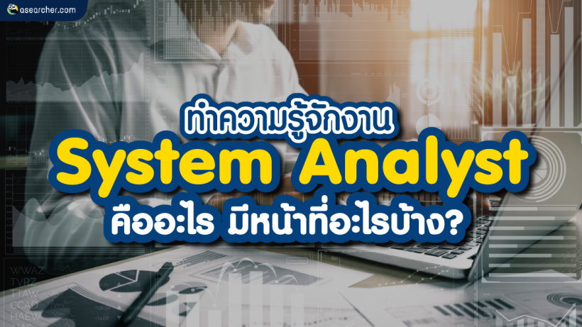 System Analyst, คืออะไร, มีหน้าที่อะไรบ้าง, วิเคราะห์ระบบ, SA, Hardware, Software, Network